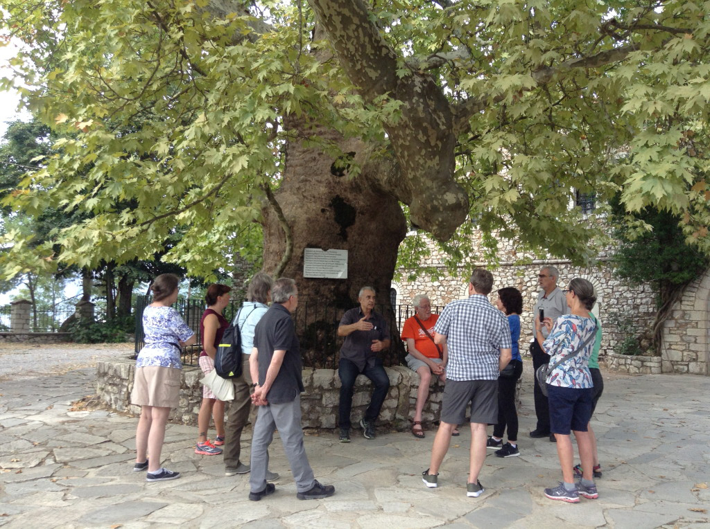 Ayia Lavra